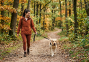 How Often Should You Walk Your Dog?