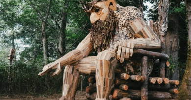 Adam Weitsman Commissions Thomas Dambo Troll for Historic Carl Sagan Property in Ithaca