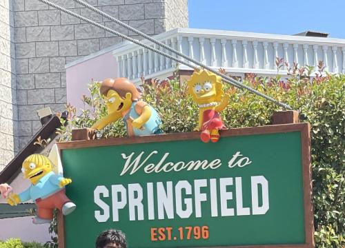 You're Now Entering Springfield, USA
